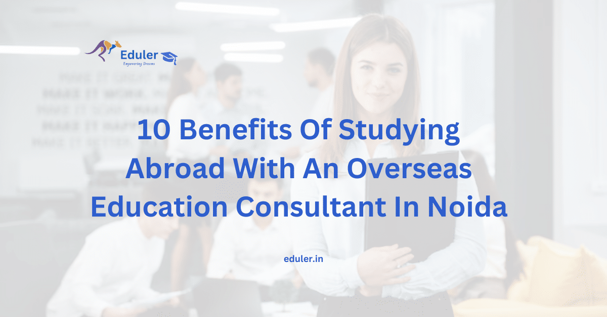 Overseas Education Consultant In Noida